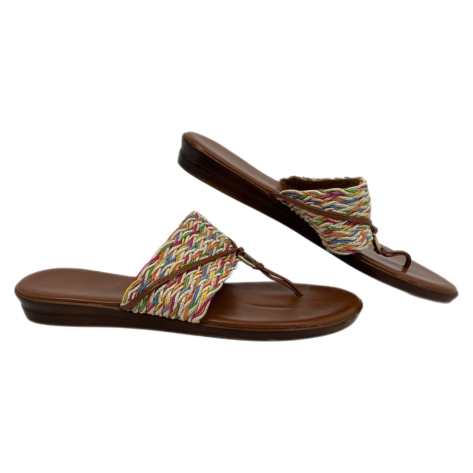 Italian Shoemakers Brown and Multicolor Flip Flop Sandals